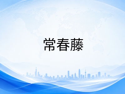 27Fall美本标化成绩回归：八所藤校最新SAT/ACT政策与备考时间线规划